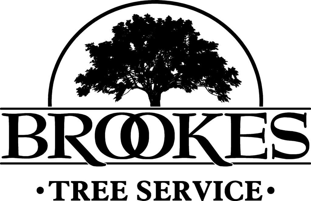 Brookes tree service